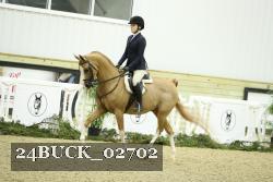 24BUCK_02702 thumbnail