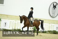 24BUCK_02705 thumbnail