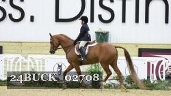 24BUCK_02708 thumbnail