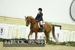 24BUCK_02709 thumbnail