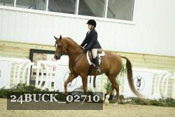 24BUCK_02710 thumbnail
