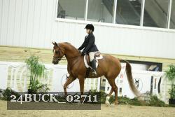 24BUCK_02711 thumbnail