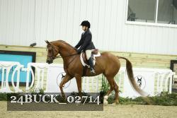 24BUCK_02714 thumbnail