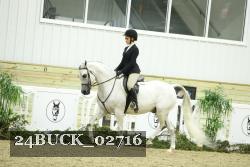 24BUCK_02716 thumbnail