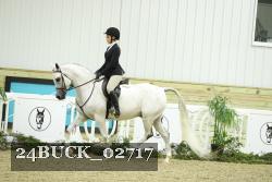 24BUCK_02717 thumbnail