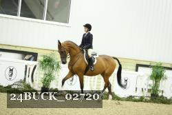 24BUCK_02720 thumbnail