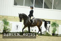 24BUCK_02725 thumbnail