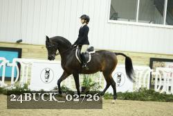 24BUCK_02726 thumbnail