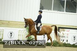 24BUCK_02729 thumbnail