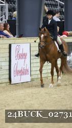 24BUCK_02731 thumbnail