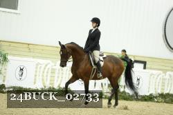 24BUCK_02733 thumbnail