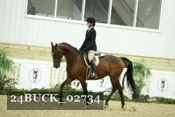 24BUCK_02734 thumbnail