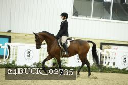 24BUCK_02735 thumbnail