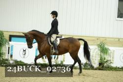24BUCK_02736 thumbnail