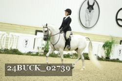 24BUCK_02739 thumbnail