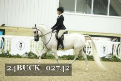 24BUCK_02742 thumbnail