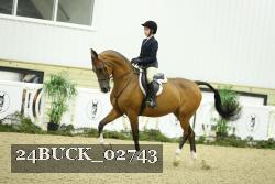 24BUCK_02743 thumbnail