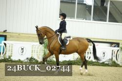24BUCK_02744 thumbnail