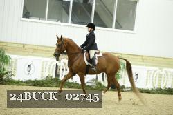 24BUCK_02745 thumbnail
