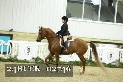 24BUCK_02746 thumbnail