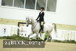 24BUCK_02747 thumbnail