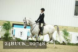 24BUCK_02748 thumbnail
