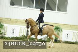 24BUCK_02750 thumbnail