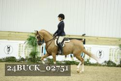 24BUCK_02751 thumbnail