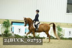 24BUCK_02755 thumbnail