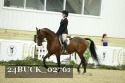24BUCK_02761 thumbnail