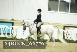 24BUCK_02770 thumbnail
