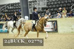 24BUCK_02779 thumbnail