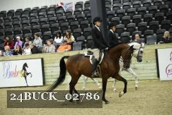 24BUCK_02786 thumbnail