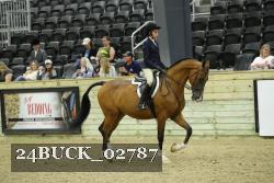 24BUCK_02787 thumbnail