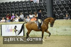 24BUCK_02788 thumbnail