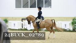 24BUCK_02789 thumbnail