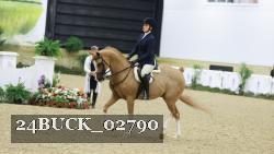 24BUCK_02790 thumbnail