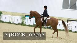 24BUCK_02792 thumbnail