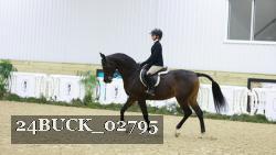 24BUCK_02795 thumbnail