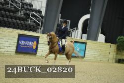 24BUCK_02820 thumbnail