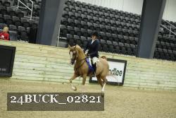 24BUCK_02821 thumbnail