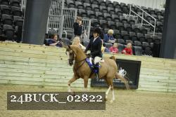 24BUCK_02822 thumbnail