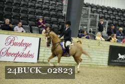 24BUCK_02823 thumbnail