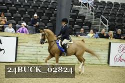 24BUCK_02824 thumbnail