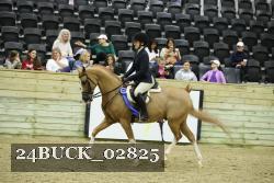 24BUCK_02825 thumbnail