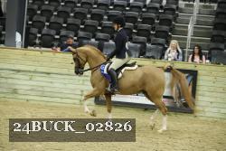24BUCK_02826 thumbnail