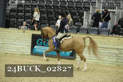 24BUCK_02827 thumbnail