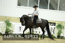 24BUCK_02833 thumbnail
