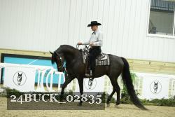 24BUCK_02835 thumbnail