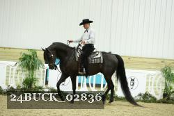 24BUCK_02836 thumbnail